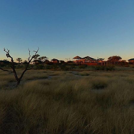 Suricate Tented Lodge Mariental Εξωτερικό φωτογραφία