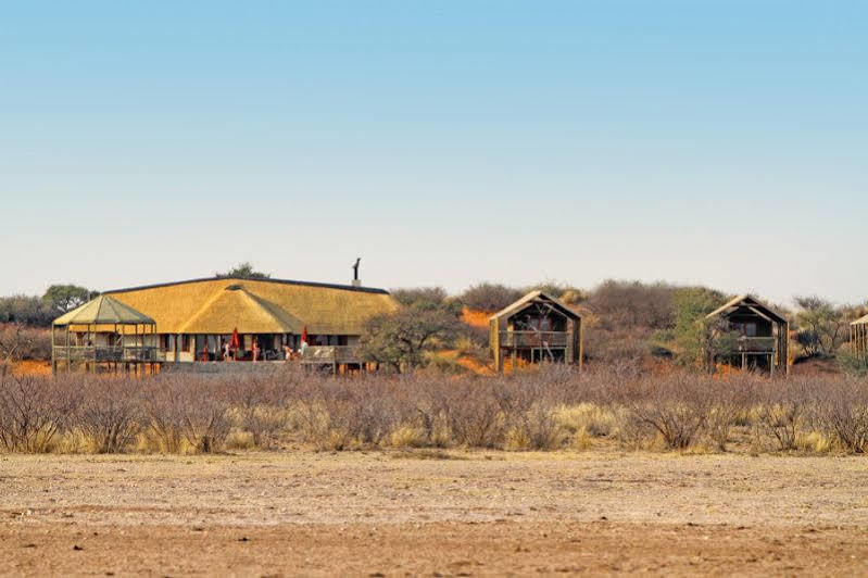 Suricate Tented Lodge Mariental Εξωτερικό φωτογραφία