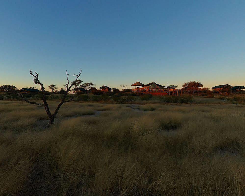 Suricate Tented Lodge Mariental Εξωτερικό φωτογραφία